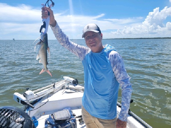 Gafftopsail Catfish