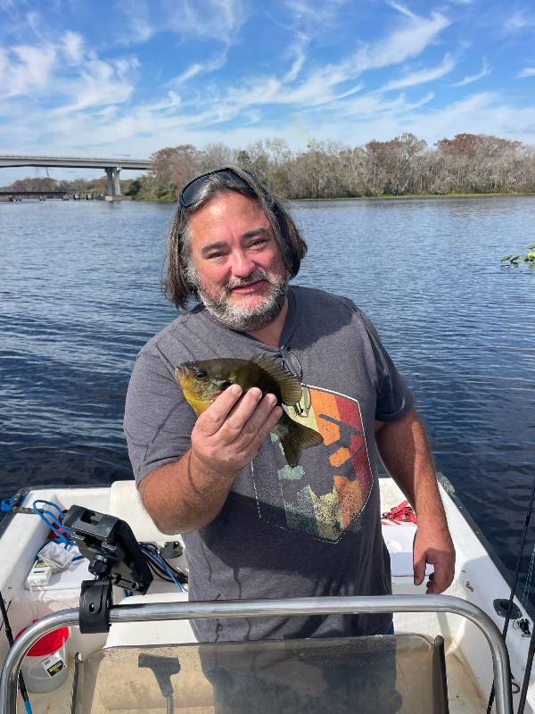 Sunfish Bluegill record catch