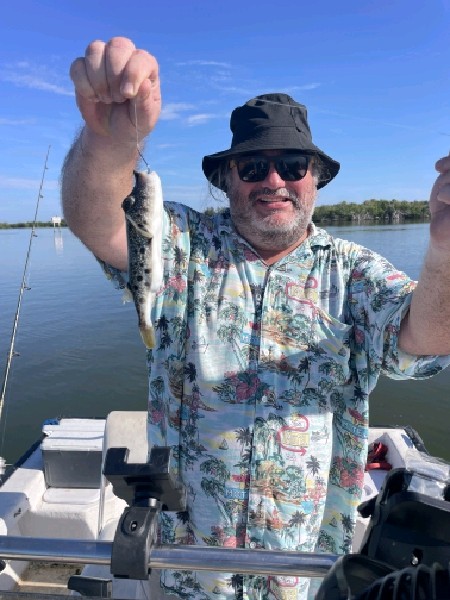 Checkered Pufferfish record catch