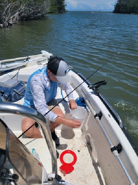 Channel Catfish