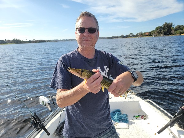 Chain Pickrel record catch