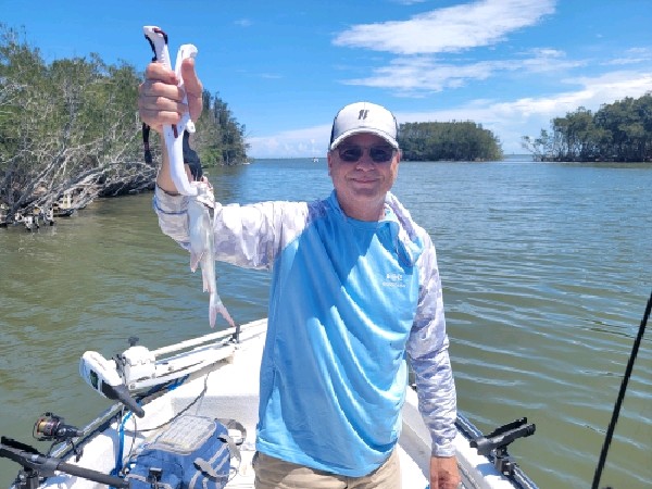 Channel Catfish